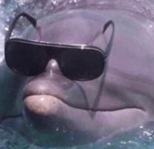 Meet your Posher, Brian